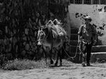combatientes del erp en el norte de morazan en Perquin jul 90